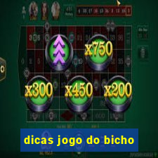 dicas jogo do bicho