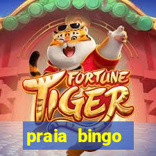 praia bingo dinheiro infinito 2022