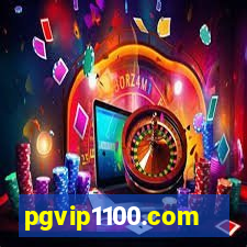 pgvip1100.com