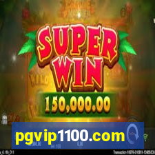 pgvip1100.com