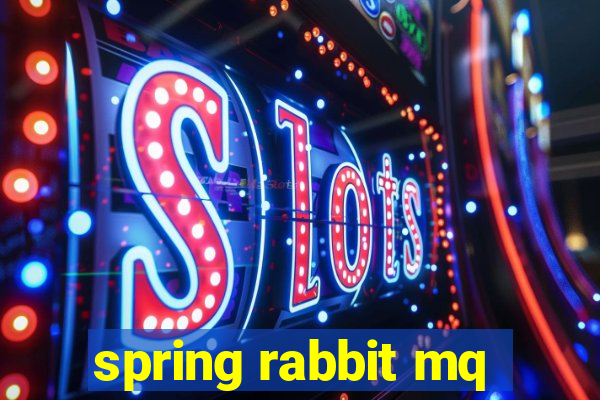 spring rabbit mq