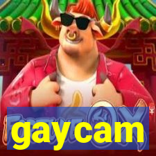 gaycam