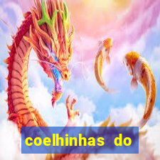 coelhinhas do brasil recife