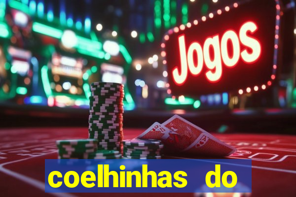 coelhinhas do brasil recife