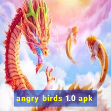 angry birds 1.0 apk