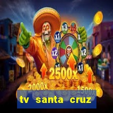 tv santa cruz bahia meio dia ao vivo