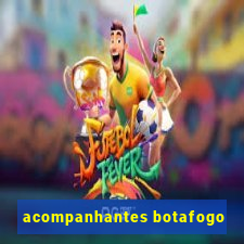 acompanhantes botafogo