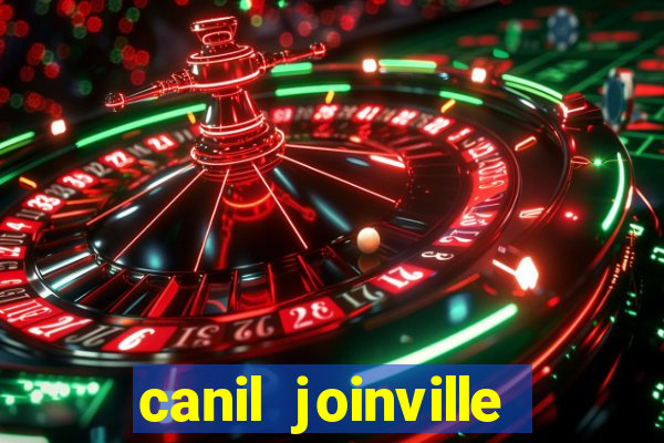 canil joinville vila nova