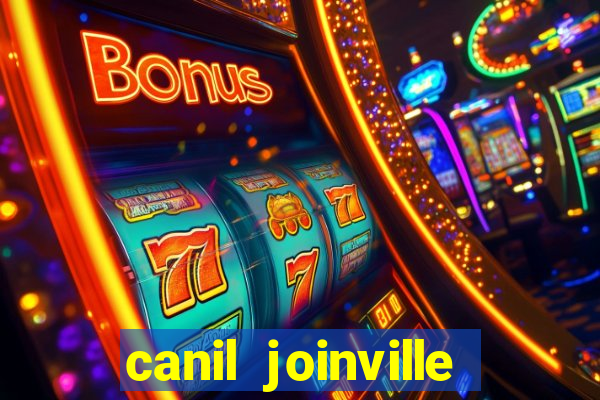 canil joinville vila nova