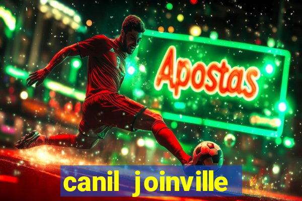 canil joinville vila nova