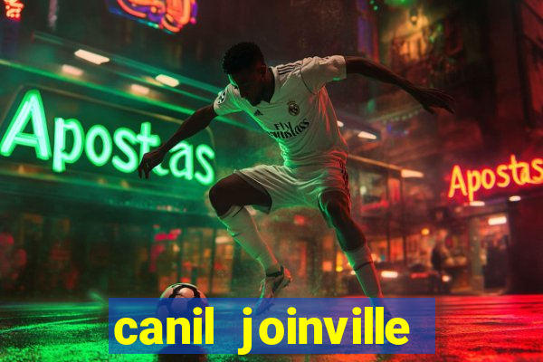 canil joinville vila nova