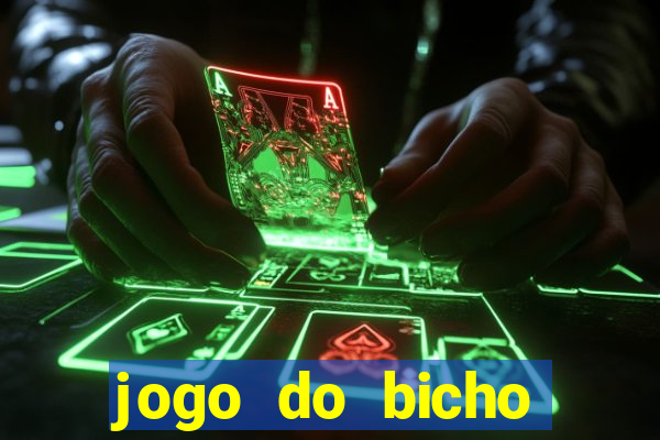 jogo do bicho crash bingo