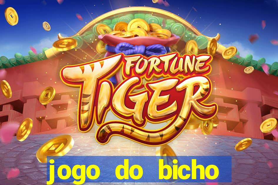 jogo do bicho crash bingo