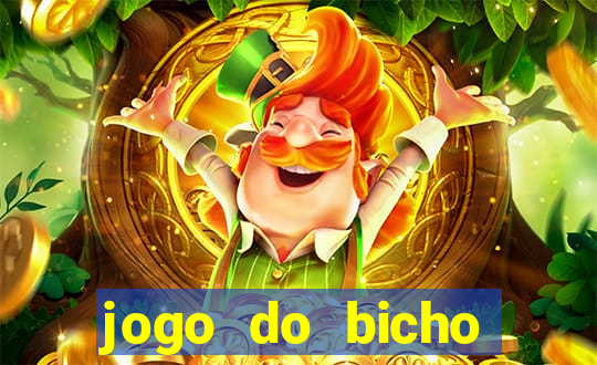 jogo do bicho crash bingo