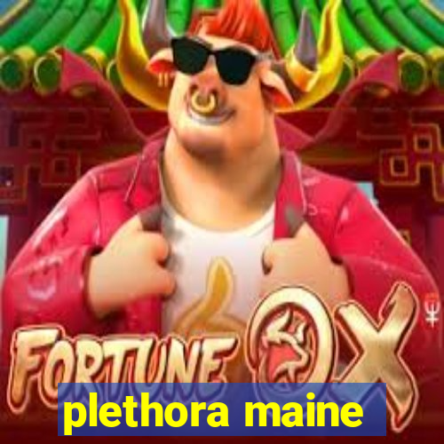 plethora maine