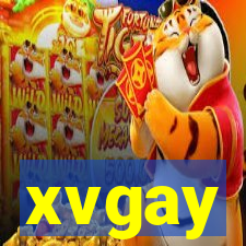 xvgay