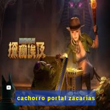 cachorro portal zacarias