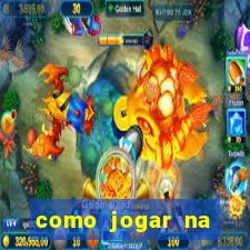 como jogar na seninha online