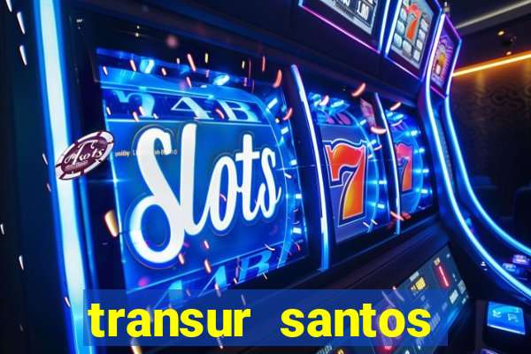 transur santos dumont x juiz de fora 2024