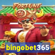 bingobet365