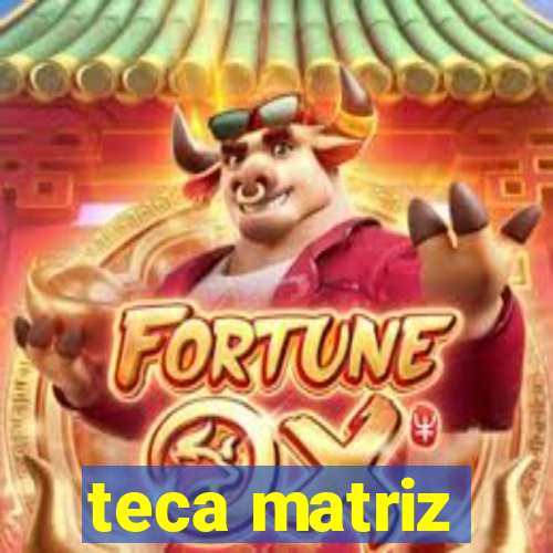 teca matriz