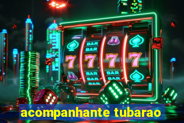 acompanhante tubarao