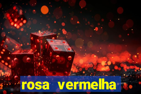 rosa vermelha (letra e cifra)