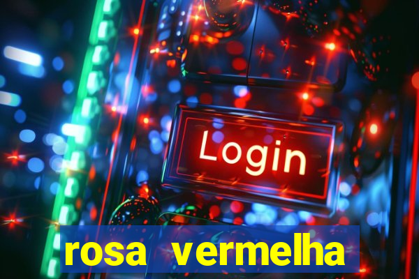 rosa vermelha (letra e cifra)