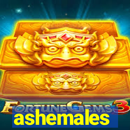 ashemales