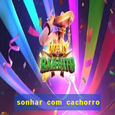 sonhar com cachorro cruzando jogo do bicho