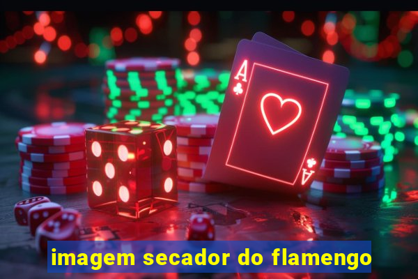 imagem secador do flamengo