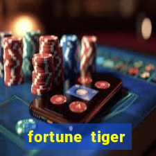 fortune tiger plataforma nova