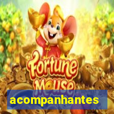 acompanhantes chamada de video