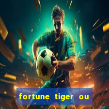 fortune tiger ou fortune ox