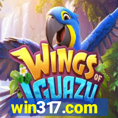 win317.com