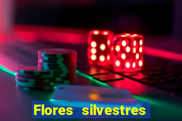 Flores silvestres brasileiras 25