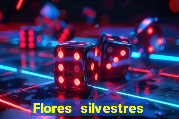 Flores silvestres brasileiras 25