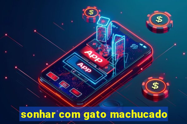 sonhar com gato machucado