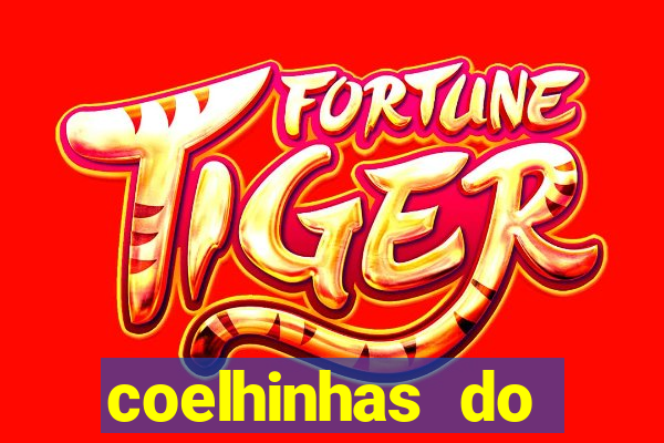 coelhinhas do brasil site