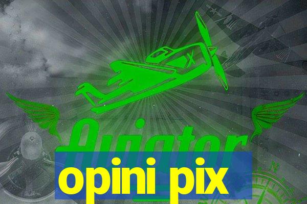 opini pix