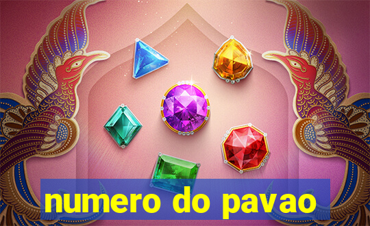 numero do pavao