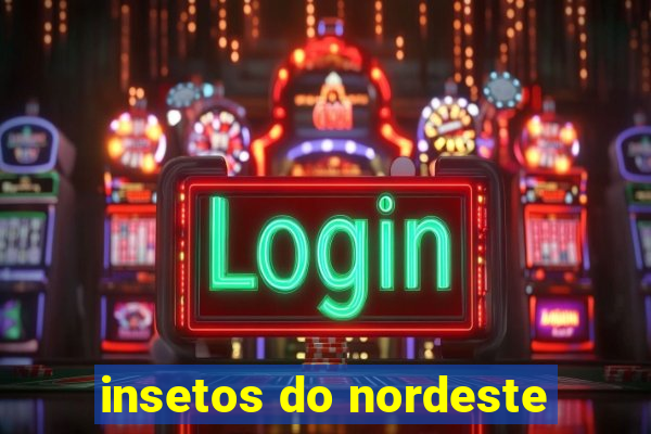 insetos do nordeste