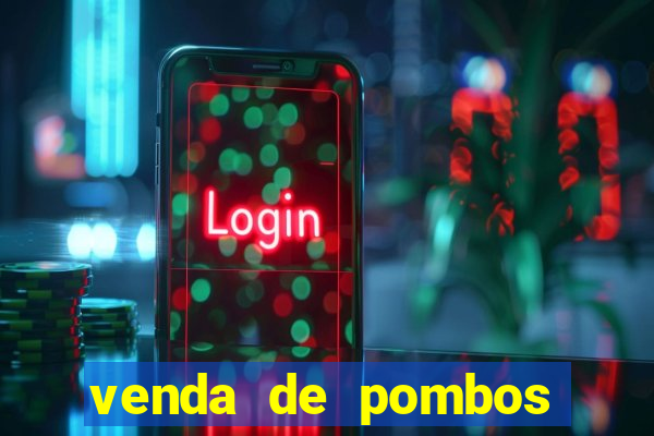 venda de pombos correios olx