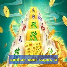 sonhar com sapos o que significa