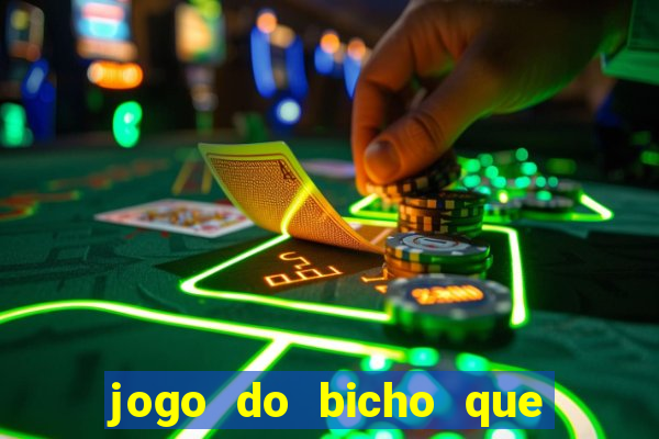 jogo do bicho que paga no pix