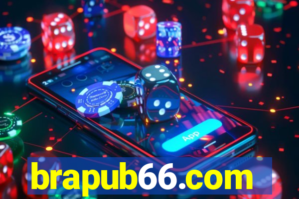 brapub66.com