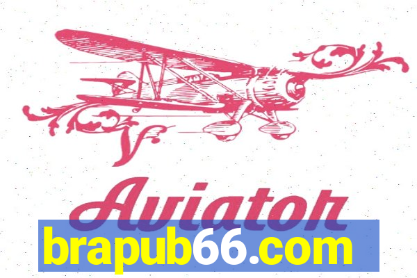 brapub66.com