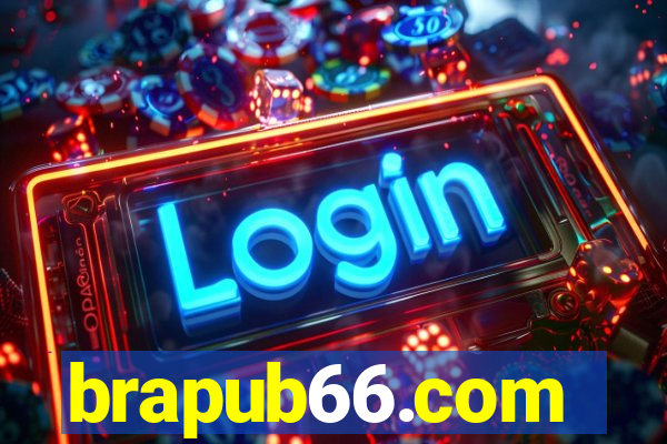 brapub66.com