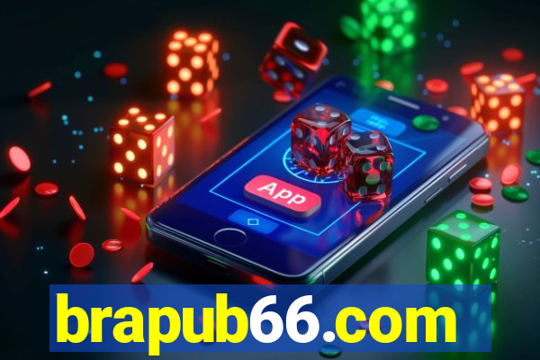 brapub66.com