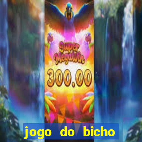 jogo do bicho feira de santana